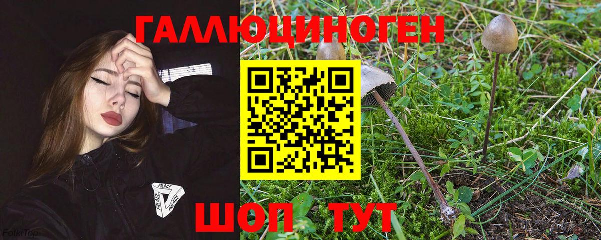Галлюциногенные грибы Cubensis Минеральные Воды