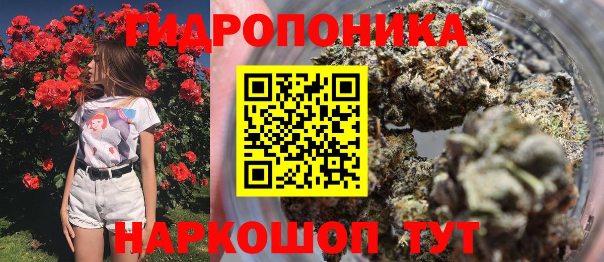Шишки марихуана гибрид Минеральные Воды